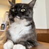 産後アレルギー体質になり泣く泣く募集します サムネイル6