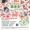 【1/25東日本橋】天使爛漫おてんば♡ひなちゃん サムネイル7