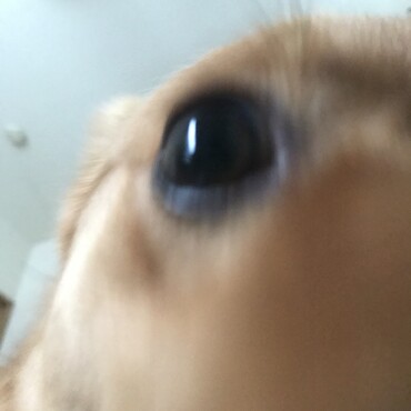 の写真