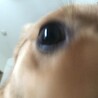の写真