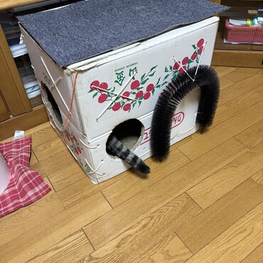 だーれだ？