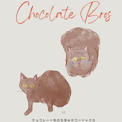 塩井乃猫PROJECTについて