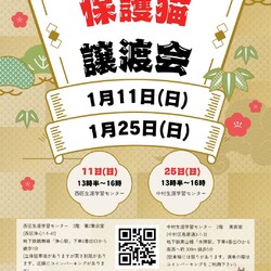 Love_Cats保護猫譲渡会　名古屋市中村区