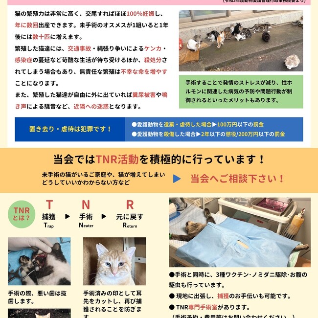 西那須野いぬねこ里親会のカバー写真