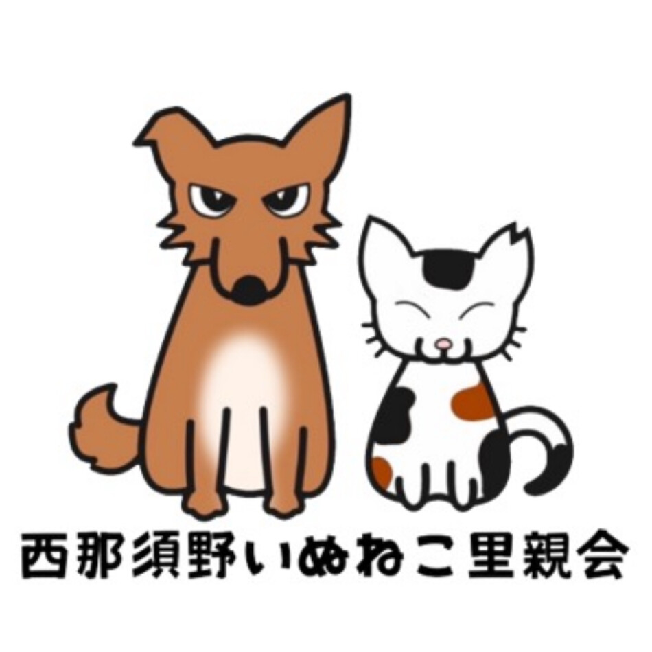 エースのカバー写真