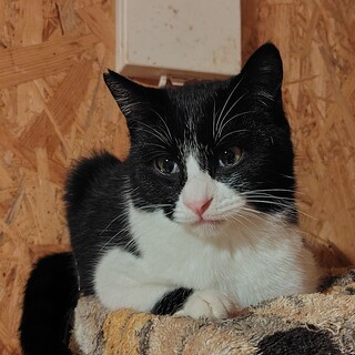 人が大好きな男の子