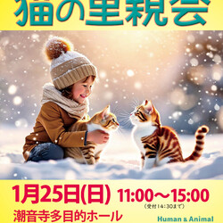 保護猫の里親会＠小田原