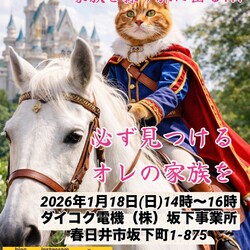 保護猫の譲渡会in春日井