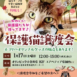 保護猫譲渡会@オリンピック小金井店 サムネイル1