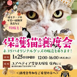 保護猫譲渡会@ユアペティア雪谷大塚店