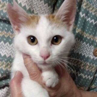 とにかく元気でやんちゃ坊主　天真爛漫な男の子