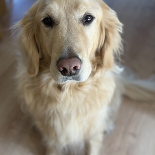 Τ���罸�Υ�����ǥ��ȥ�С������θ�