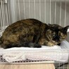 おっとりシニアのランラン サムネイル3