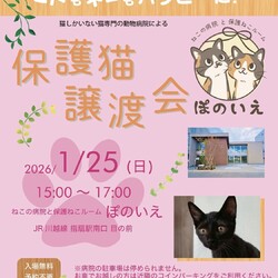 【さいたま市西区】ぽのいえ保護猫譲渡会