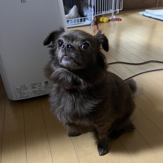 お散歩大好きです