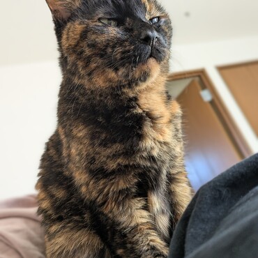 11/3、大好きなママの上に乗ってご満悦のててさん