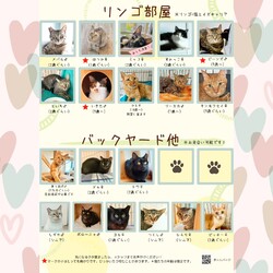 動物病院の保護猫譲渡会 サムネイル3