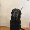ミントッティー