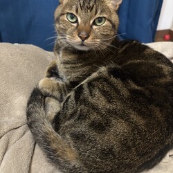 年齢を重ねるという事