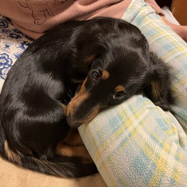 の写真