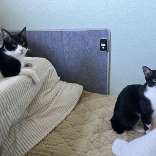 2025/5/3生まれの兄妹◆みちる＆のぞみ◆