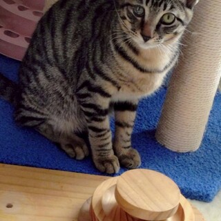 天真爛漫なめるる