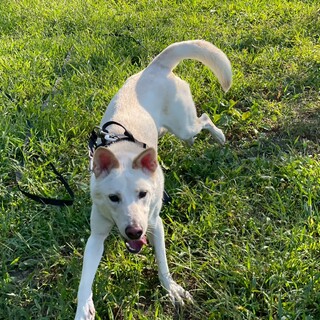 引き出しからまもなく1年。なかなかご縁がありません