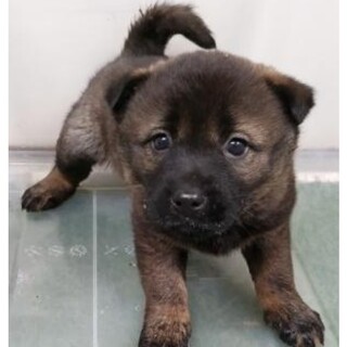 ※優先期間内にお迎え下さい　1/19迄