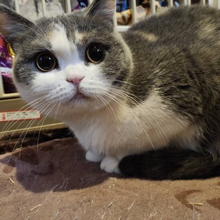 �܂�ۂ���̃x�������