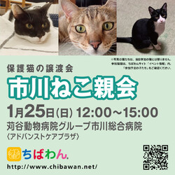 1/25（日）ちばわん市川ねこ親会