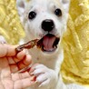 おぞうにくん　大きなお目々のきゅるるん男子 サムネイル3