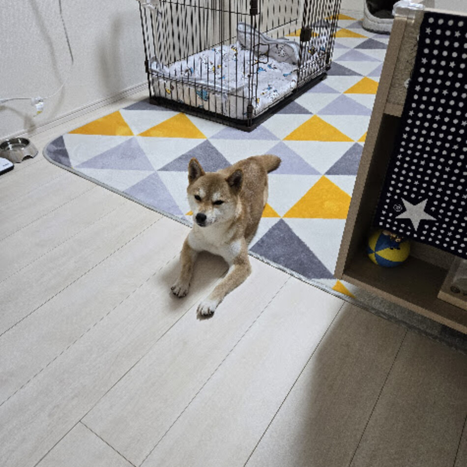 フクのカバー写真