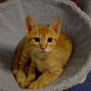 ミルクから育ったナルくん