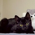 おっとり控えめSunny