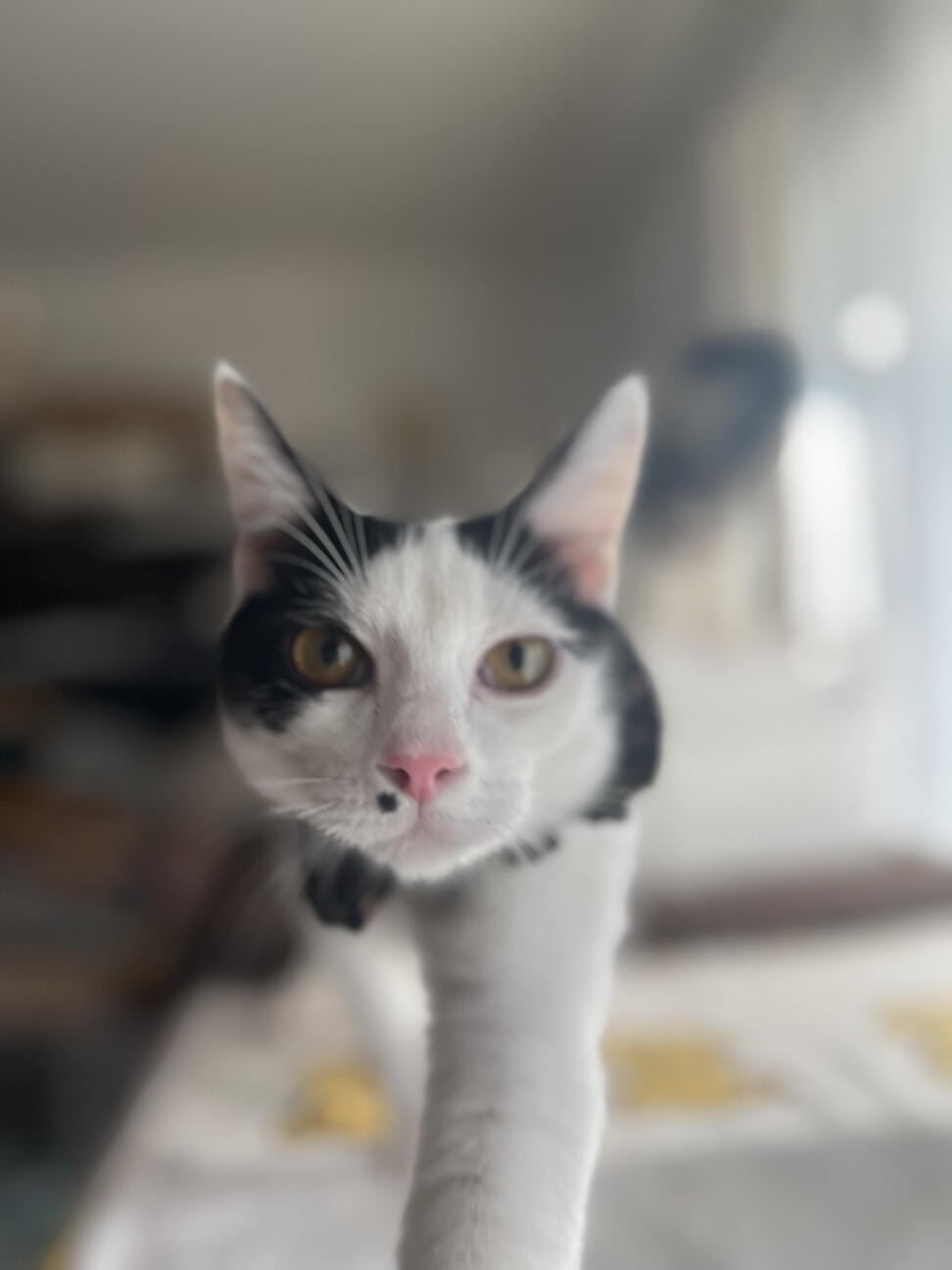 ホクロがチャームポイント！やっくん サムネイル3