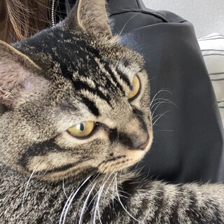 里親募集してます