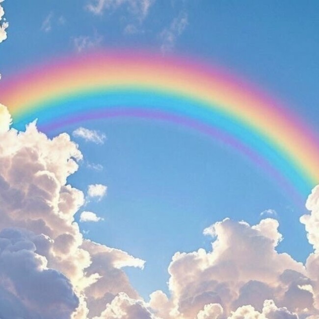 虹イルカのカバー写真