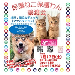 保護ねこ保護わん譲渡会