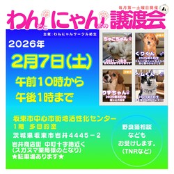 わんにゃん譲渡会☆子犬ちゃん多数！