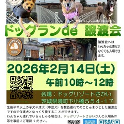 ドッグランde譲渡会 サムネイル1