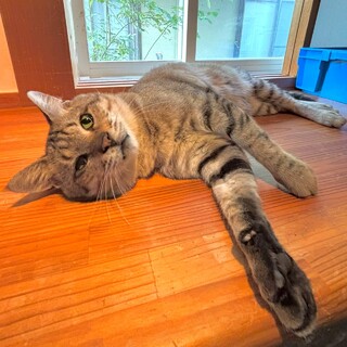 【4/5三田】犬くらい甘えん坊♪かまってちゃん