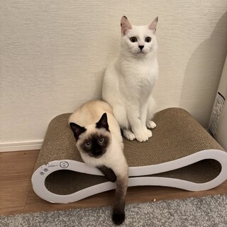 【2/22三田】モノトーンの可愛い仲良しコンビ★