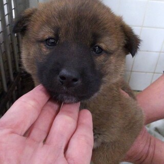 ※優先期間内にお迎えください　1/19