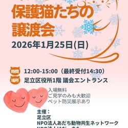 第9回あだち保護猫たちの譲渡会