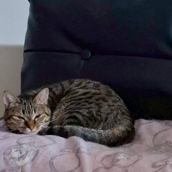 ［こももちゃん］幸せ報告