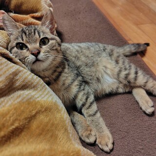 まんまるで可愛いさちちゃん❤️