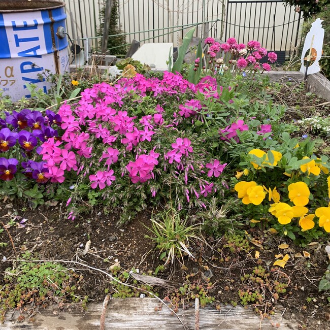 りくちゃん@のカバー写真