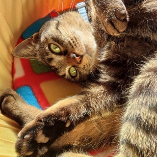 好奇心旺盛な女の子