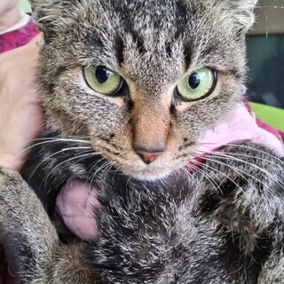 抱っこのできる♪　かぼすちゃん☆