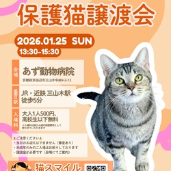 ねこの譲渡会＠京田辺市